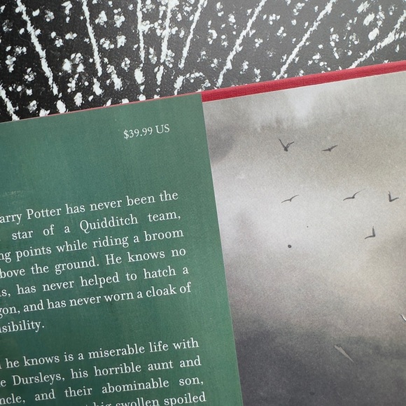 Harry Potter And The Sorcerer's Stone Illustrated Book - Picture 4 of 7